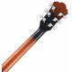 Ibanez AS53-TF Tobacco Flat