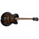 IBANEZ AF55 Transparent Black Flat