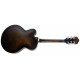 IBANEZ AF55 Transparent Black Flat