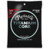 Martin 12-55 Titanium