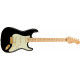 Fender Player Stratocaster MN Black Gold Hardware LTD