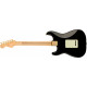 Fender Player Stratocaster MN Black Gold Hardware LTD