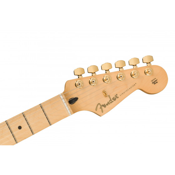 Fender Player Stratocaster MN Black Gold Hardware LTD