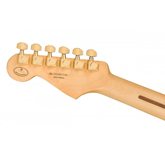 Fender Player Stratocaster MN Black Gold Hardware LTD