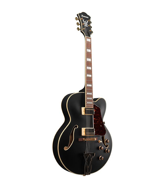 Ibanez AF75G Black Flat