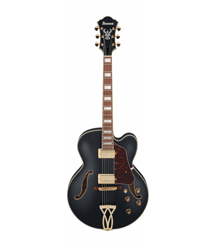 Ibanez AF75G Black Flat
