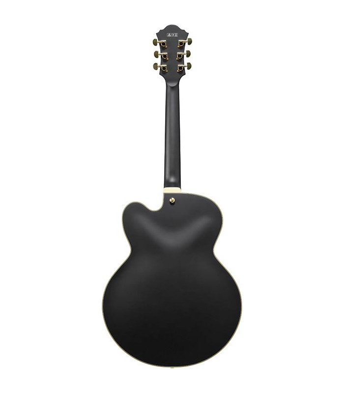 Ibanez AF75G Black Flat