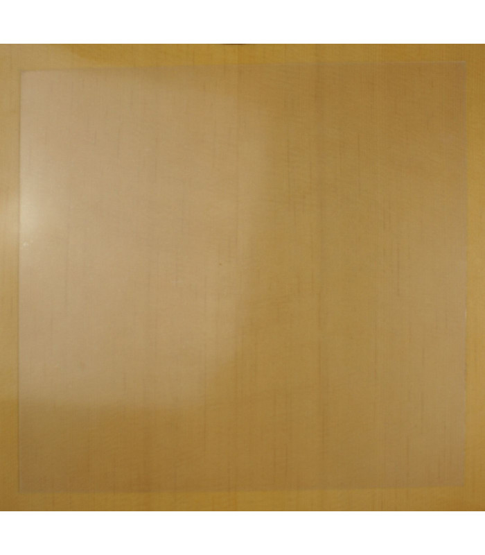 Admira Golpeador Adhesivo Transparente 20x20