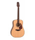 Takamine GD10NS Natural