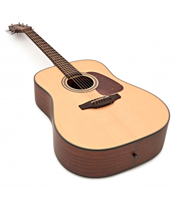 Takamine GD10NS Natural