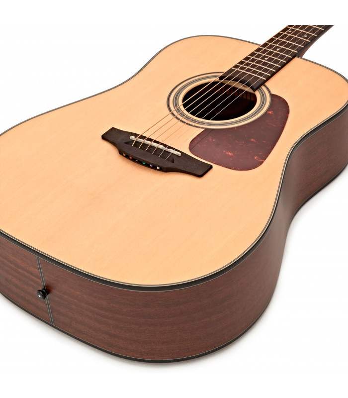 Takamine GD10NS Natural