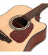 Takamine GD10CE Natural