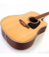 Takamine GD51CE Natural