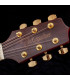 Takamine GD51CE Natural