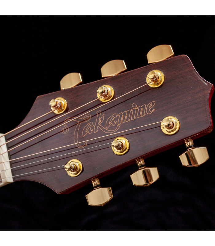 Takamine GD51CE Natural