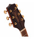 Takamine GD51CE Natural LH
