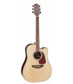 Takamine GD93CE Natural