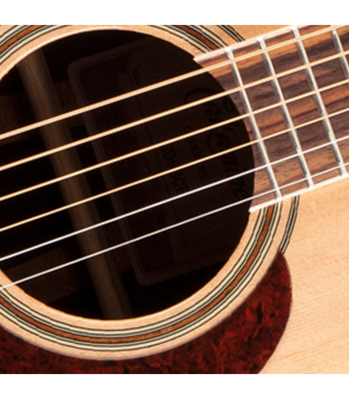 Takamine GD93CE Natural