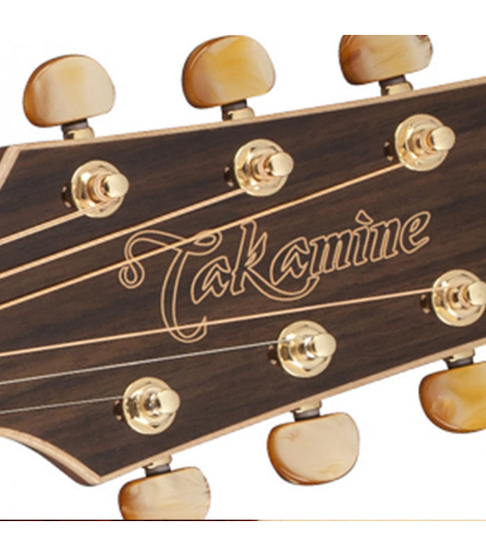 Takamine GD71CE Natural