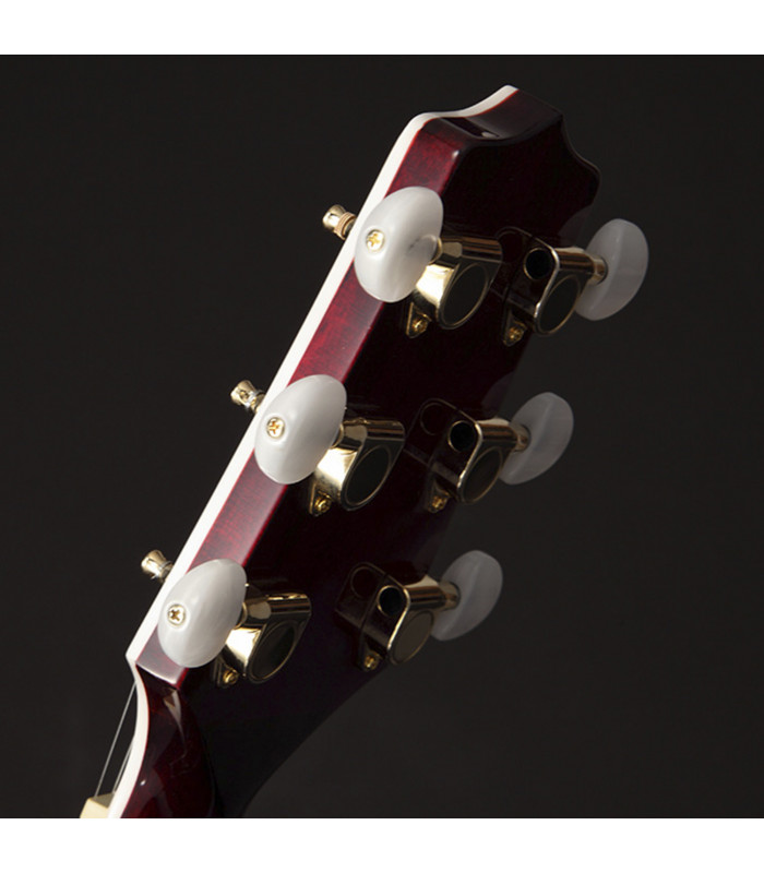 Takamine GN75CE Wine Red