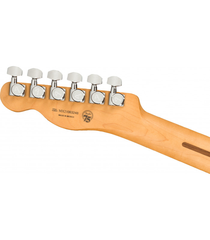 Fender Player Plus Telecaster PF Silver Smoke