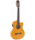 Admira Triana Cutaway Fishman
