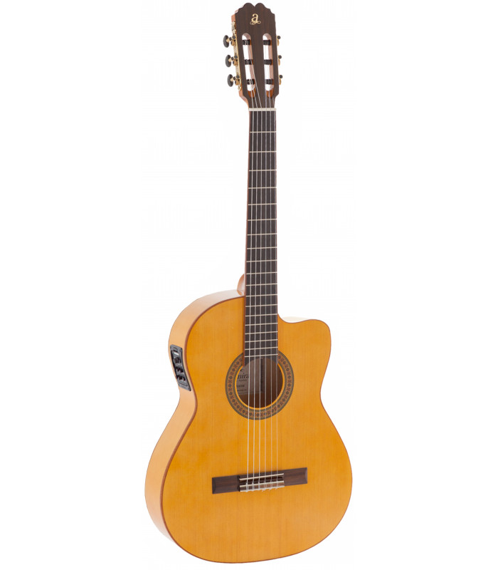 Admira Triana Cutaway Fishman