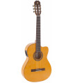 Admira Triana Cutaway Fishman
