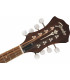 Fender PM-180E Mandolin WN Aged Cognac Burst
