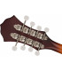 Fender PM-180E Mandolin WN Aged Cognac Burst