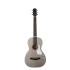 Godin Rialto JR Satin Gray HG Q-Discrete