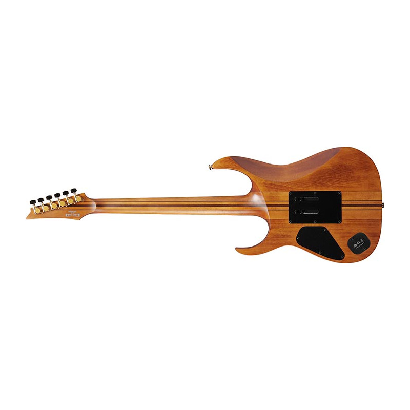 Ibanez RGT1220PB-ABS Antique Brown Stained Flat