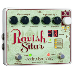 ravish_sitar-8080.jpg