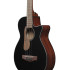 Ibanez AEGB24E-BKH Black High Gloss