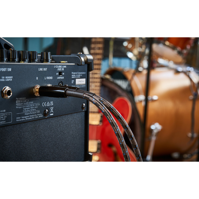 Boss Dual Cube LX