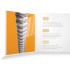 Daddario XSE 10-46