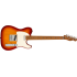 Fender Player Telecaster Roaster MN Sienna Sunburst LTD