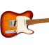 Fender Player Telecaster Roaster MN Sienna Sunburst LTD