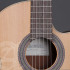 Alhambra Zero Z-Nature Slim Cutaway Fishman