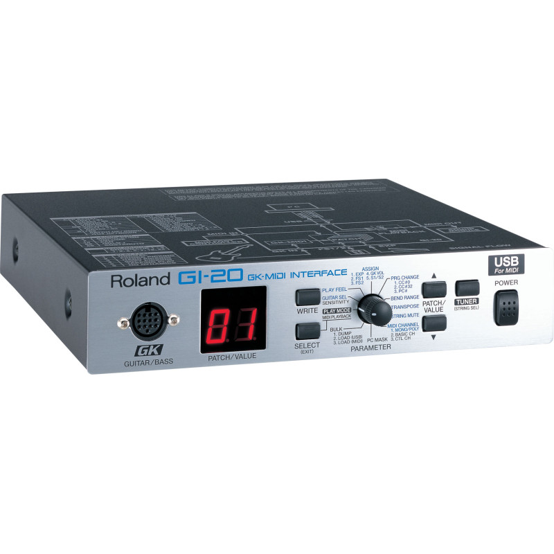 Roland Interface GI20 Guitarra/MIDI