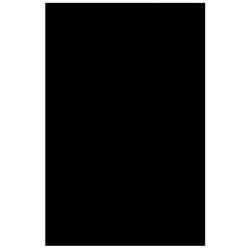 Partland Pickguard 24x41 Black