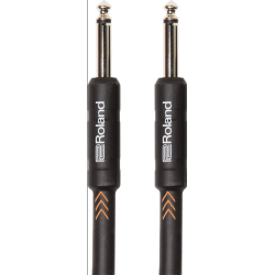 Roland RIC-B25 Jack Jack 7.5 metros