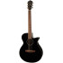 Ibanez AEG50 Black