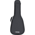 Roland AG10 Funda para Guitarra Acustica