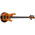 Sterling by Music Man Ray34 HH Poplar Burl Amber