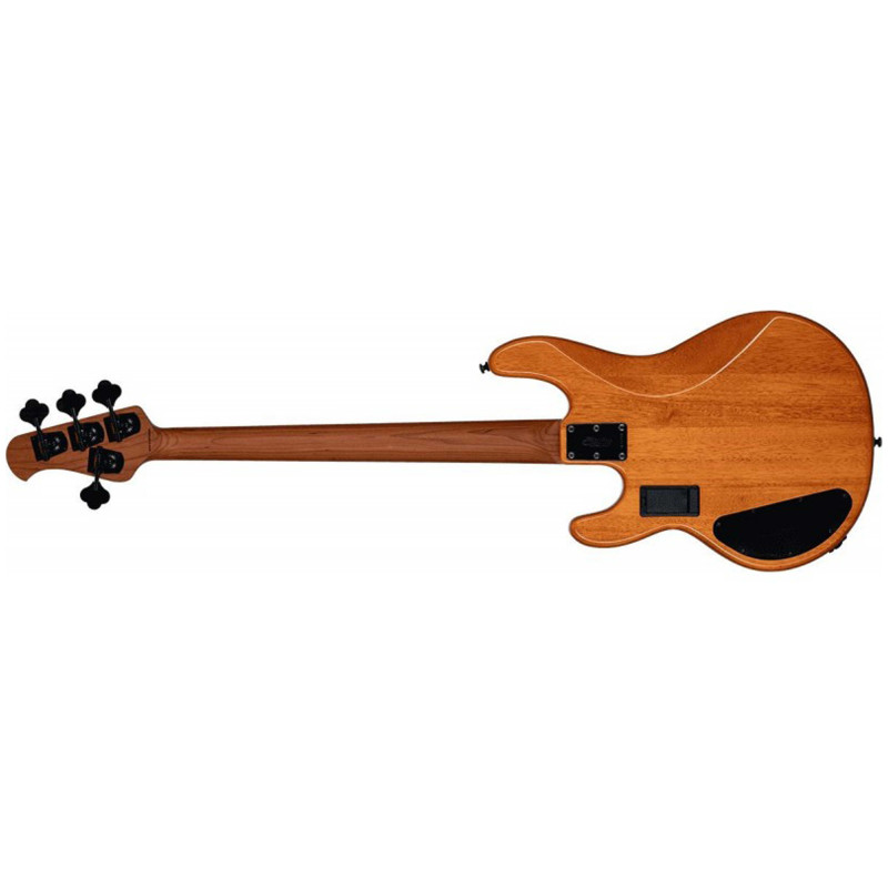 Sterling by Music Man Ray34 HH Poplar Burl Amber