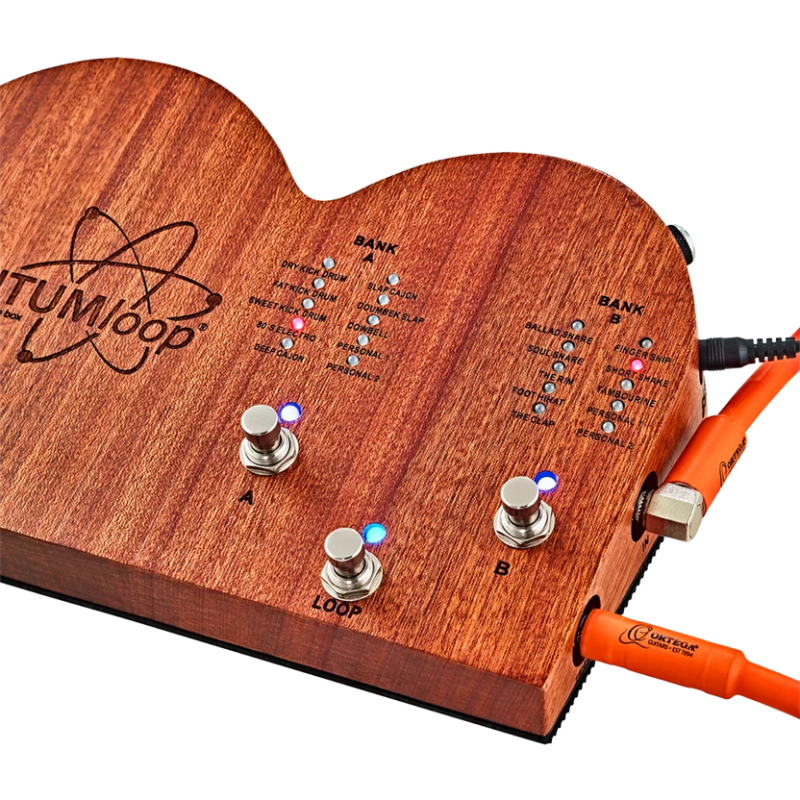Ortega Quantum Loop