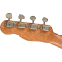 Fender Ukelele Zuma Concert Bocote