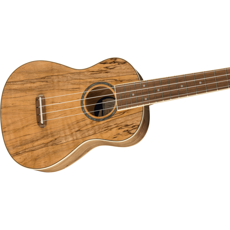 Fender Ukelele Zuma Concert Spalted Maple