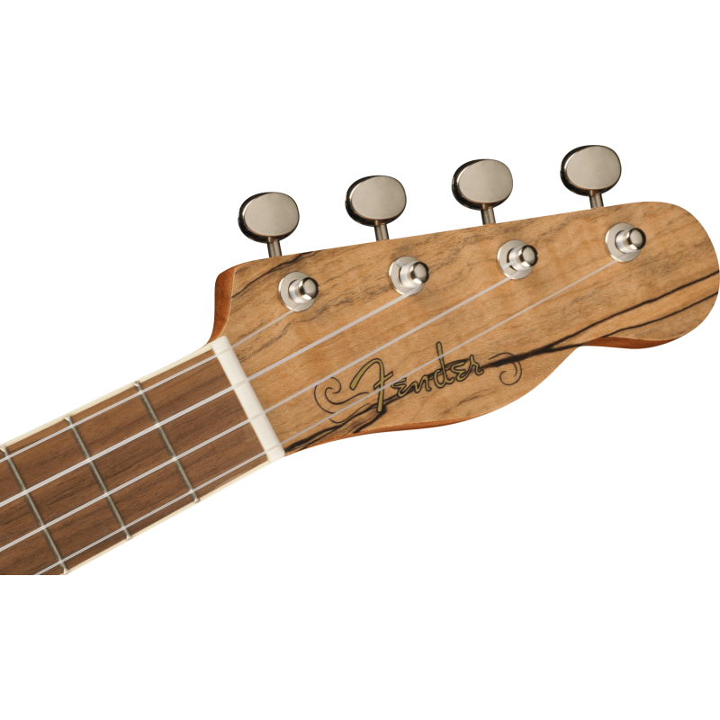 Fender Ukelele Zuma Concert Spalted Maple